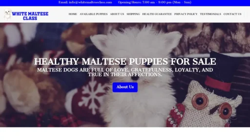 Scam Website Screenshot Whitemalteseclass.com