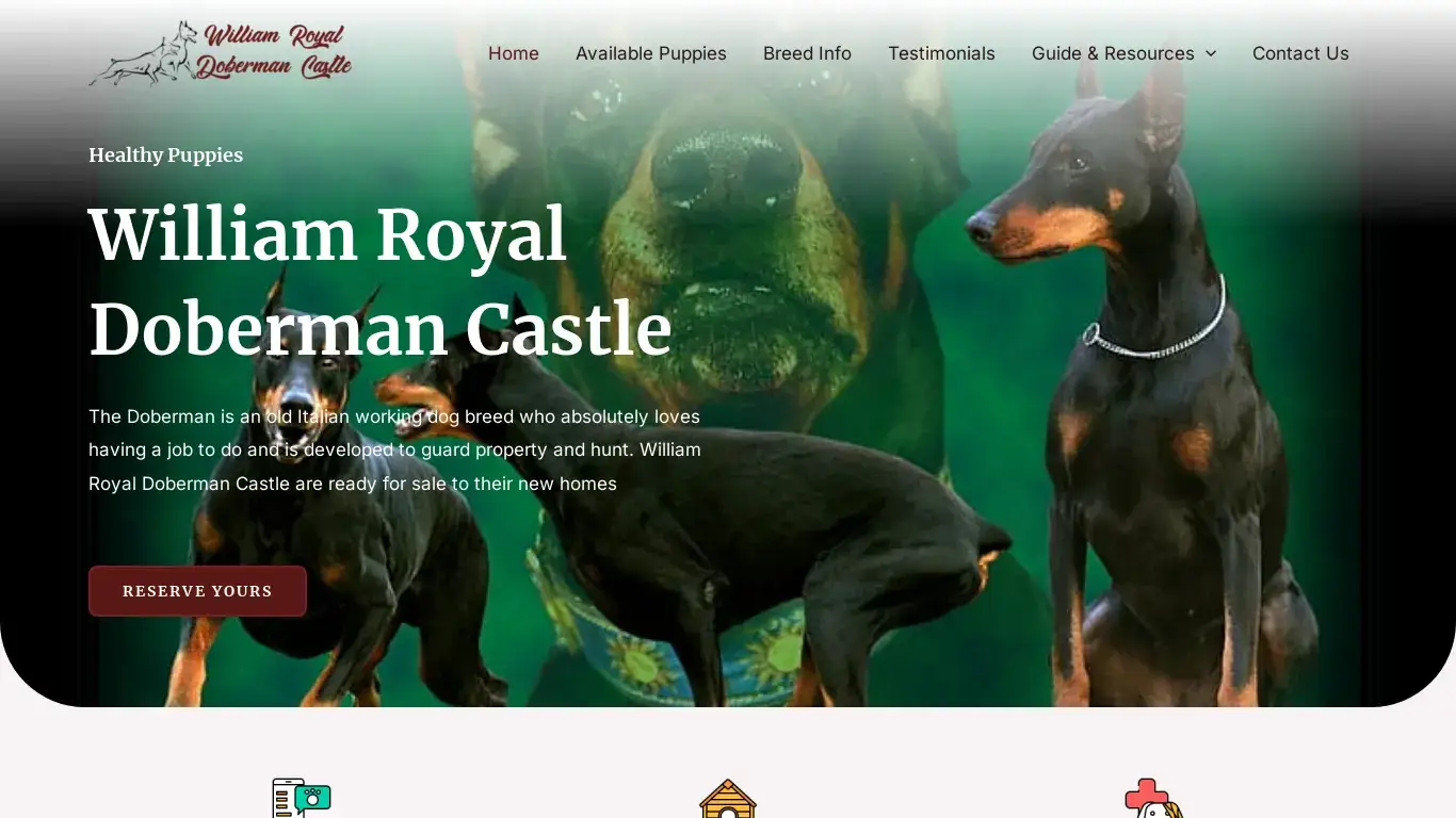 is William Royal Doberman Castle – Home of Amazing Puppies For Sale legit? screenshot