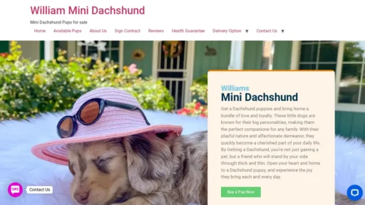 Scam Website Screenshot Williamsminidachshund.com