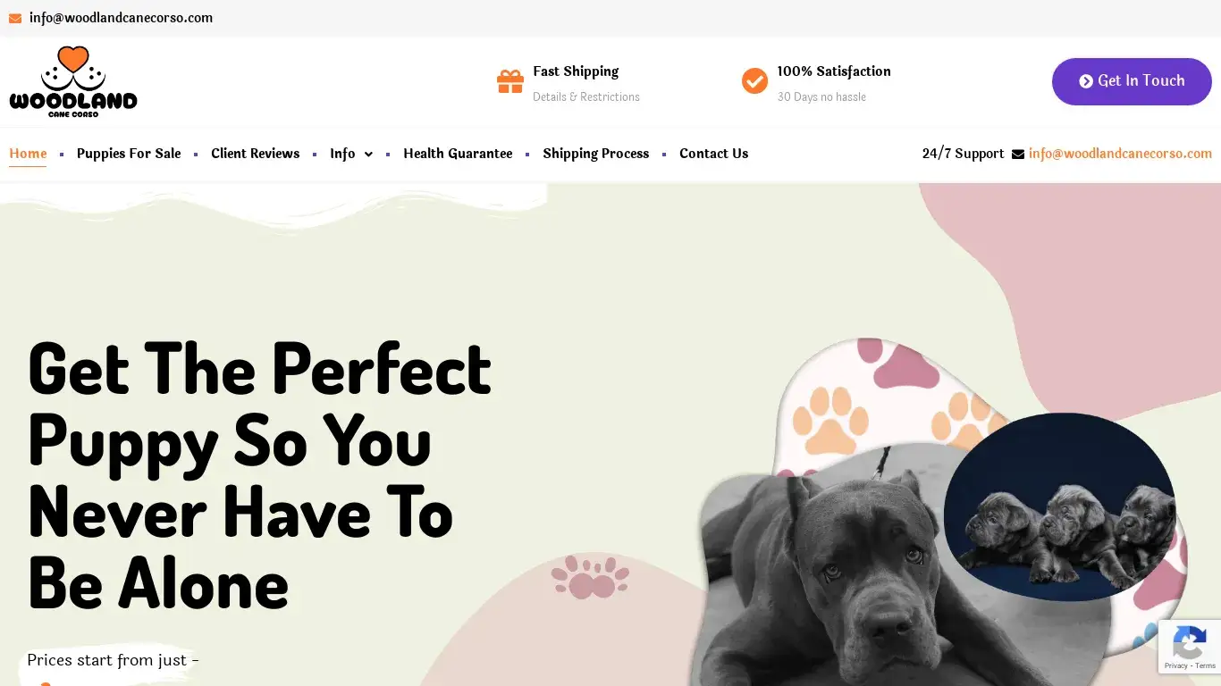 is Woodland Cane Corso – puppies for sale! legit? screenshot