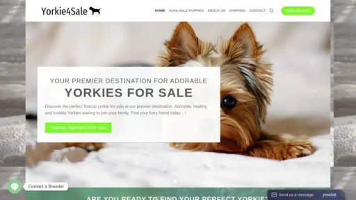 Scam Website Screenshot Yorkie4sale.com