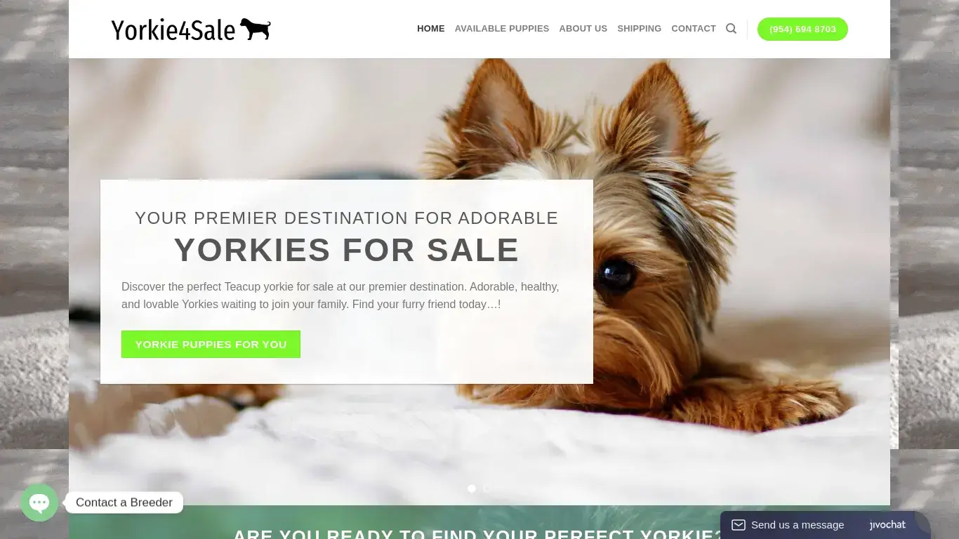 is Discover adorable Teacup Yorkies for sale on Yorkie4Sale.com legit? screenshot