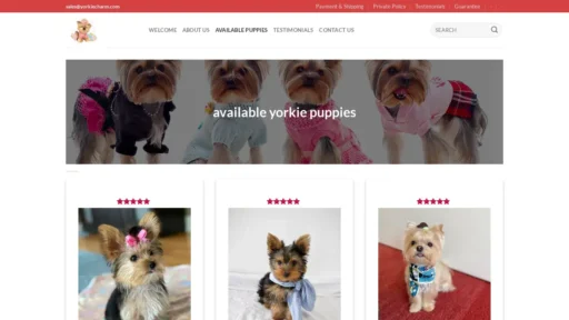 Scam Website Screenshot Yorkiecharm.com