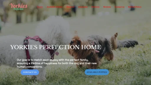 Scam Website Screenshot Yorkieperfection.com