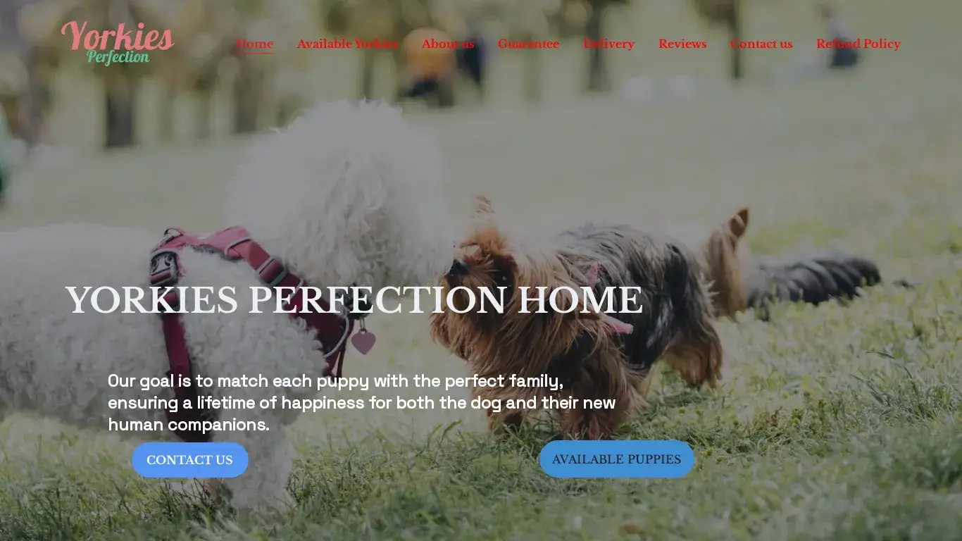 is Adorable Teacup Yorkie Puppies for Sale | Well Trained and Potty Trained | Teacup Yorkies legit? screenshot