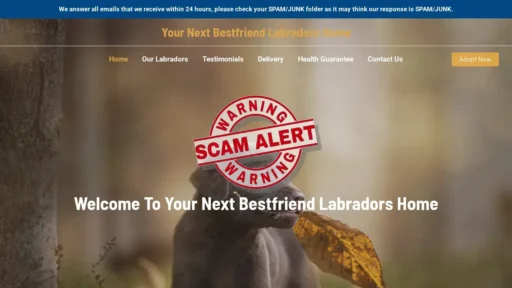 Scam Website Screenshot Yournextbestfriendlabradorshome.com