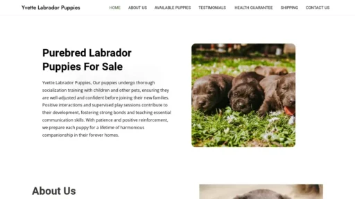 Scam Website Screenshot Yvettelabradorpuppies.com