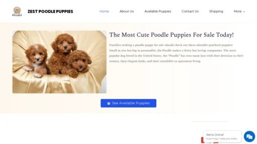 Scam Website Screenshot Zestpoodles.com