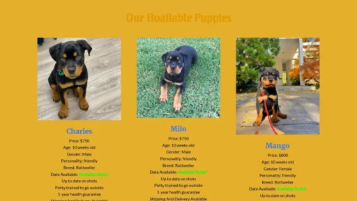 Scam Website Screenshot Zionrottweilers.com