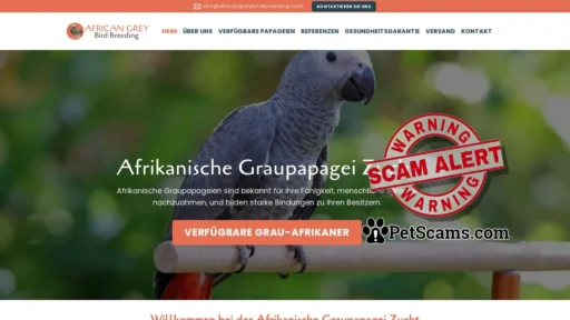 Scam Website: Afrikanischer Graupapagei zu verkaufen