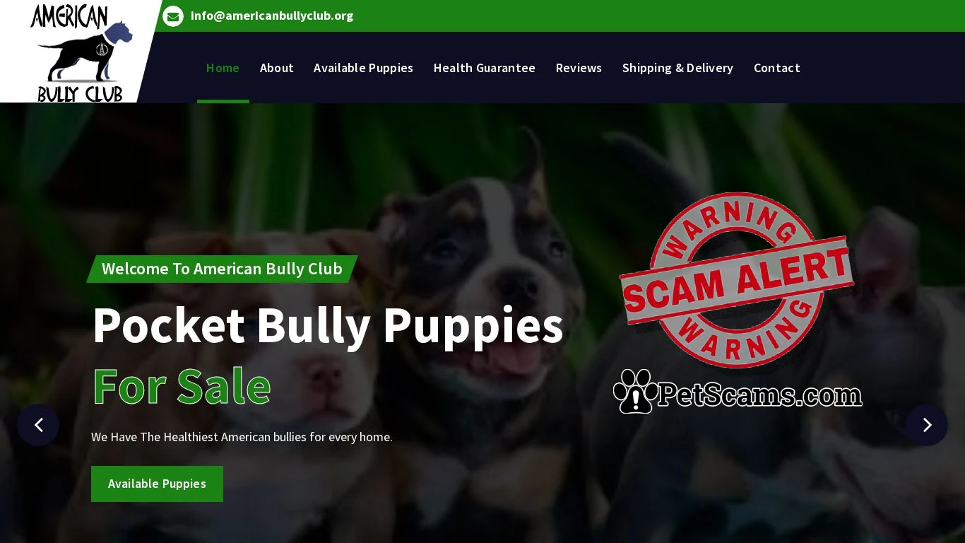 is American Bully Club legit? screenshot
