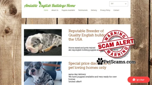 Scam Website: English Bulldog Dog Puppies | Amiable English Bulldogs Home