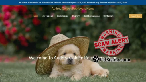 Scam Website: Audrey Golden Retrievers Home – Purebred Golden Retrievers For Sale