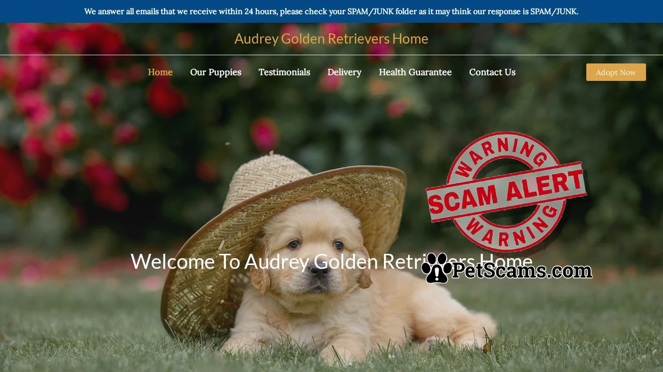 is Audrey Golden Retrievers Home – Purebred Golden Retrievers For Sale legit? screenshot