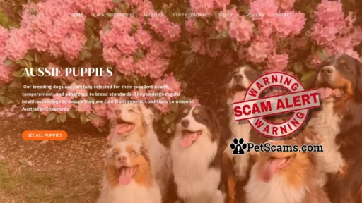 Scam Website: Aussie Pup Paradise – Buy pups online