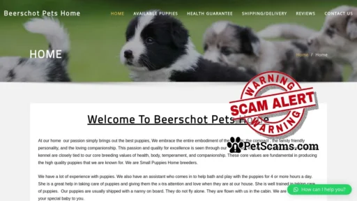 Scam Website: Beerschot Pets Home