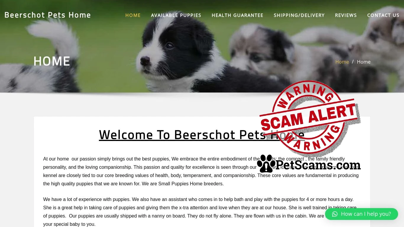 is Beerschot Pets Home legit? screenshot
