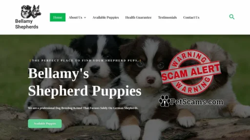 Scam Website: Bellamy Shepherds