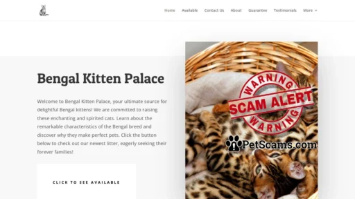 Scam Website: Home Of Bengals |