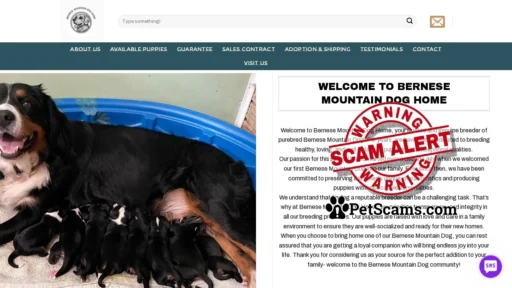 Scam Website: Bernice Mountain Dog | Puppies for sale | Adopt a puppy