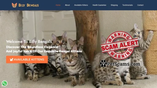 Scam Website: BILLY BENGALS – Bengal Kitten Paradise