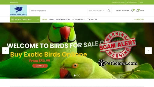 Scam Website: Buy Exotic Birds Online | Birds For Sale | Pets Birds Birds For Sale Online