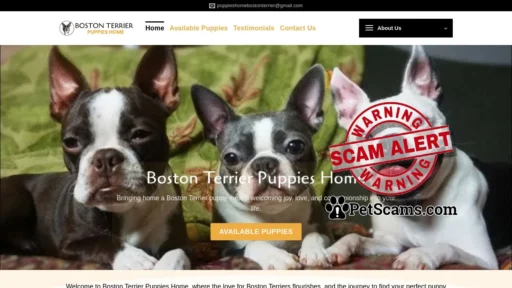 Scam Website: Boston Terrier Puppies Homes – Boston Terrier puppies for sale