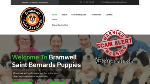 Scam Website: Bramwell Saint Bernards – Epic Saint Bernards