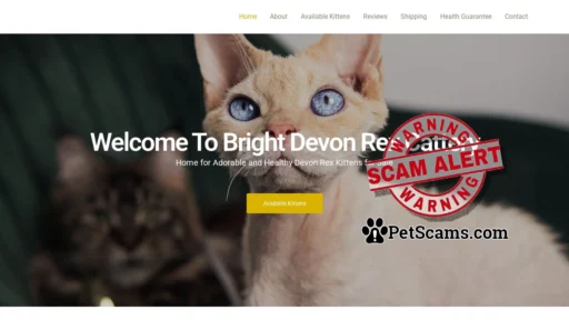 Scam Website: brightdevonrexcattery