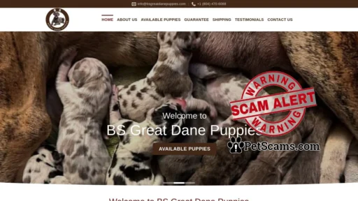 Scam Website: BS Great Dane Puppies – Great Dane puppies for sale
