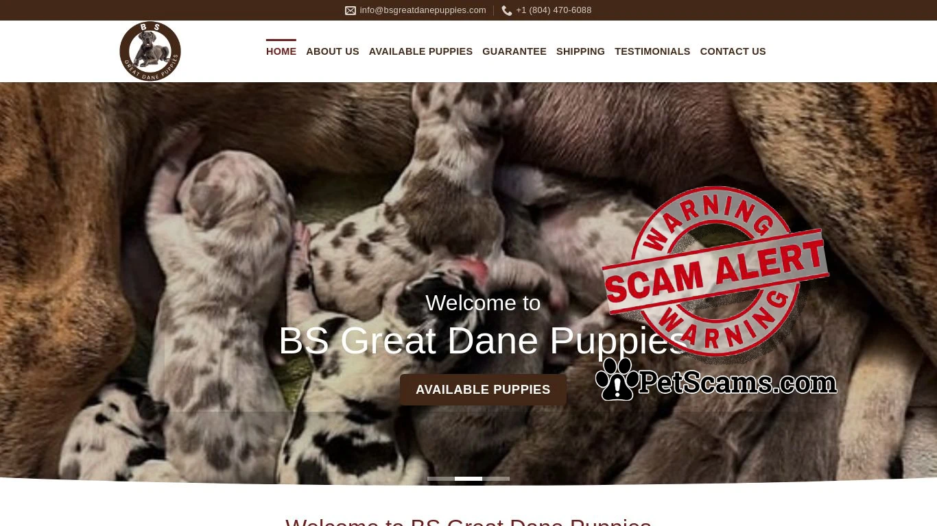 Scam Website: BS Great Dane Puppies – Great Dane puppies for sale