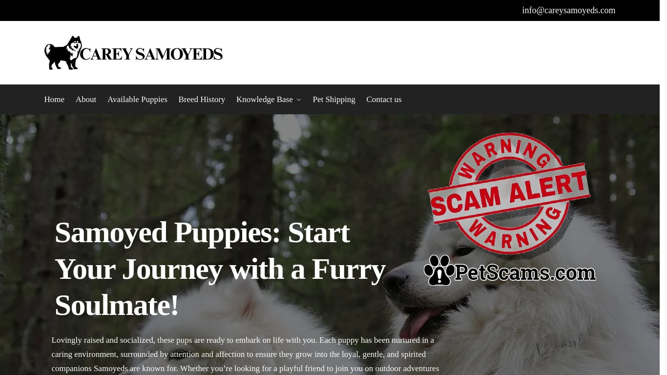 is Carey Samoyeds legit? screenshot
