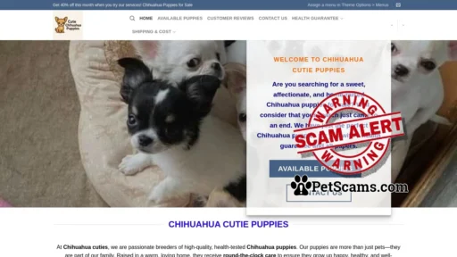 Scam Website: HOME - Cute Chihuahua Puppies