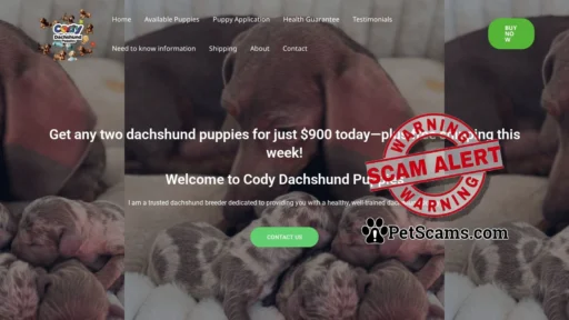Scam Website: codydachshundpuppies.com