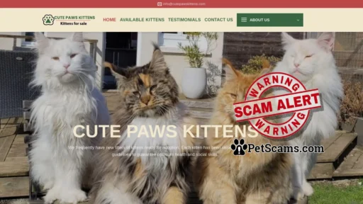Scam Website: Cute Paws Kittens – Kittens for sale online in USA and Canada
