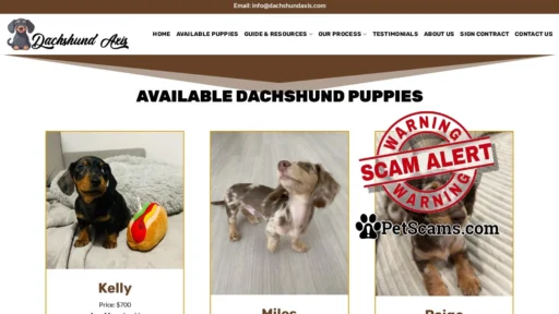 Scam Website: Dachshund Axis – Cute Puppies For Sale