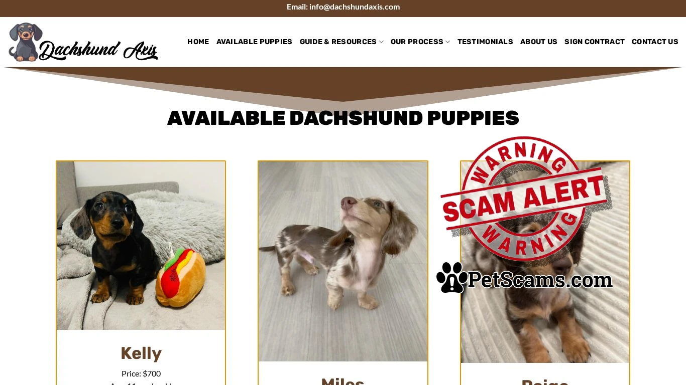 is Dachshund Axis – Cute Puppies For Sale legit? screenshot