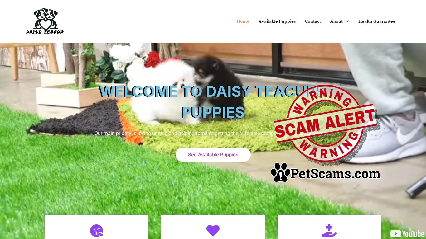 is puppies for saleHome - legit? screenshot
