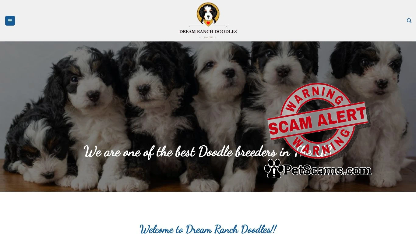 is DREAM RANCH DOODLES – Best place to adopt your pet Doodles online. legit? screenshot