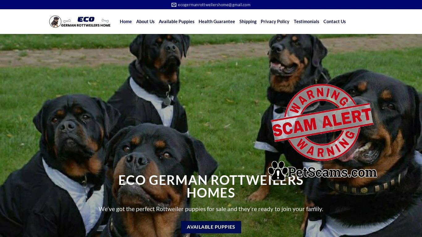 is Rottweiler puppies for sale near me - Eco German Rottweilers Home legit? screenshot