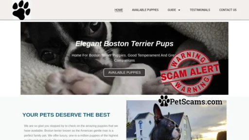 Scam Website: elegantbostonterrier.com