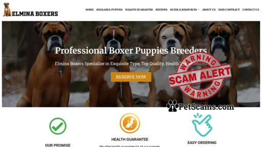 Scam Website: Elmina Boxers – Cute Boxer Puppies For Sale
