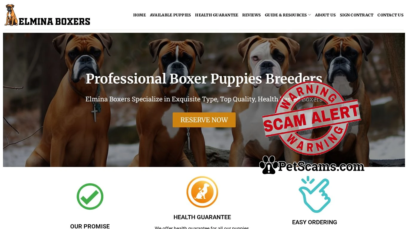 is Elmina Boxers – Cute Boxer Puppies For Sale legit? screenshot