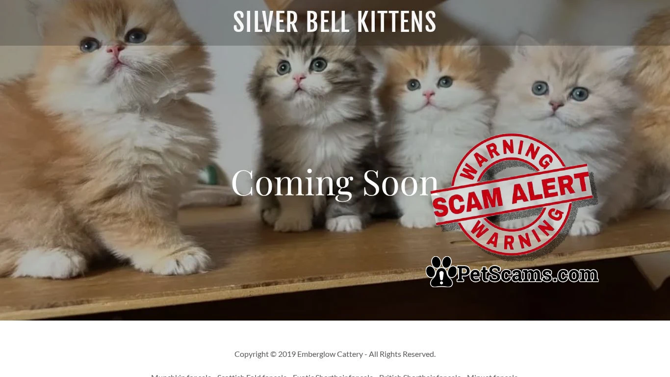 is Emberglow Cattery legit? screenshot