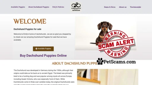 Scam Website: Home -