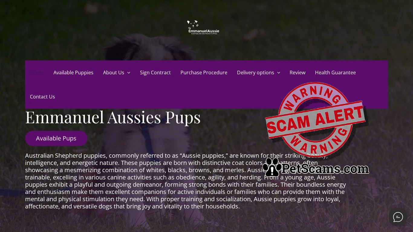 is Emmanuel Aussie Puppies – Pups for sale legit? screenshot