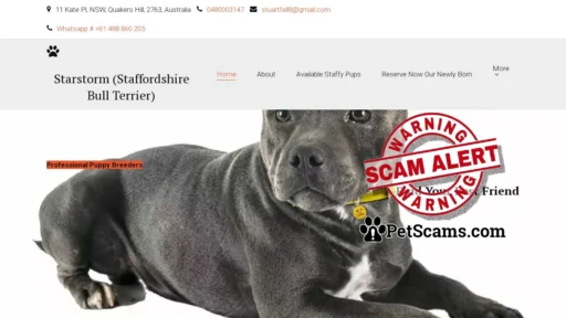 Scam Website: English Staffordshire Bull Terrier Breeders