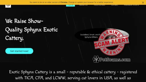 Scam Website: Home | Exotic Sphynx Cattery