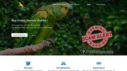 Scam Website: Exotic Birds Home – Buy Exotic Parrots Online