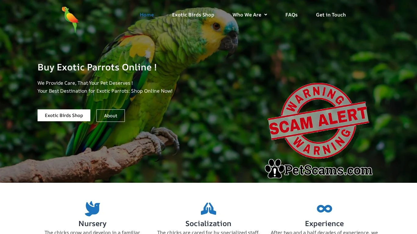 is Exotic Birds Home – Buy Exotic Parrots Online legit? screenshot